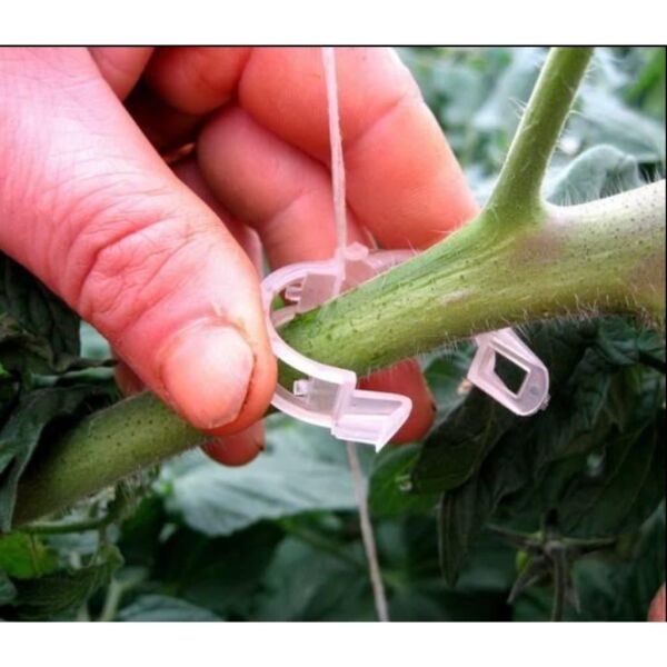 ORJİNAL BİTKİ KLİPSİ, A KALİTE, TÜM BİTKİLERLE UYUMLU KLİPS (ADET SEÇİNİZ)