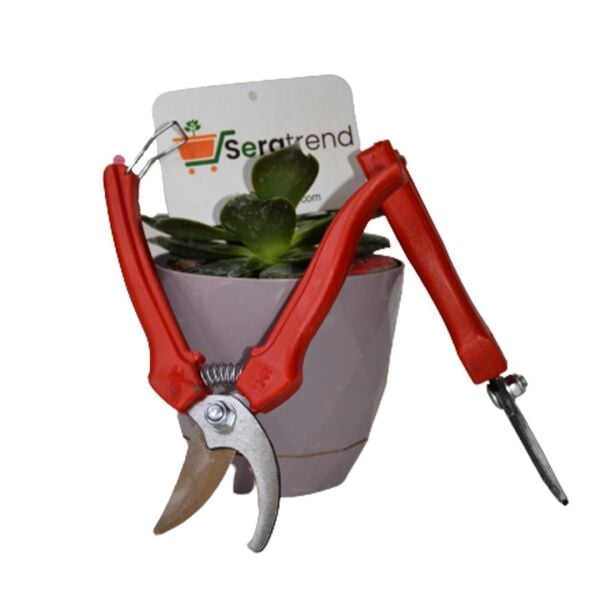 NARENCİYE HASAT MAKASI HOBİ PORTAKAL MANDALİNA NAR BUDAMA OVAL UÇLU KALİTELİ ÇELİK MAKAS