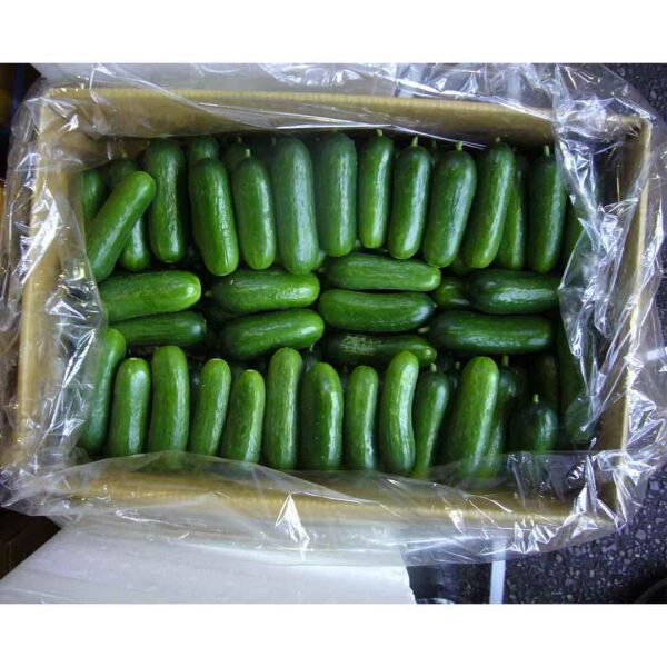 60X90 KASA TORBASI, 500 ADET KÖRÜKLÜ KOLİ TORBASI, EFOR SALATALIK PATLICAN MEYVE SEBZE KORUMA TORBASI, KASA POŞETİ, EKMEK KASASI POŞETİ