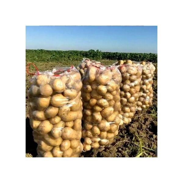 50X80 ŞEFFAF ÇUVAL, CAM ÇUVAL, PATATES SOĞAN ÇUVALI, BOŞ ÇUVAL (ADET SEÇİNİZ)