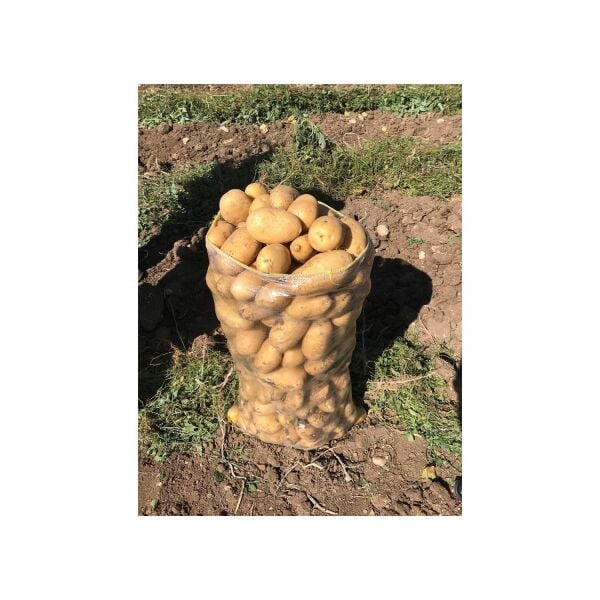 50X80 ŞEFFAF ÇUVAL, CAM ÇUVAL, PATATES SOĞAN ÇUVALI, BOŞ ÇUVAL (ADET SEÇİNİZ)