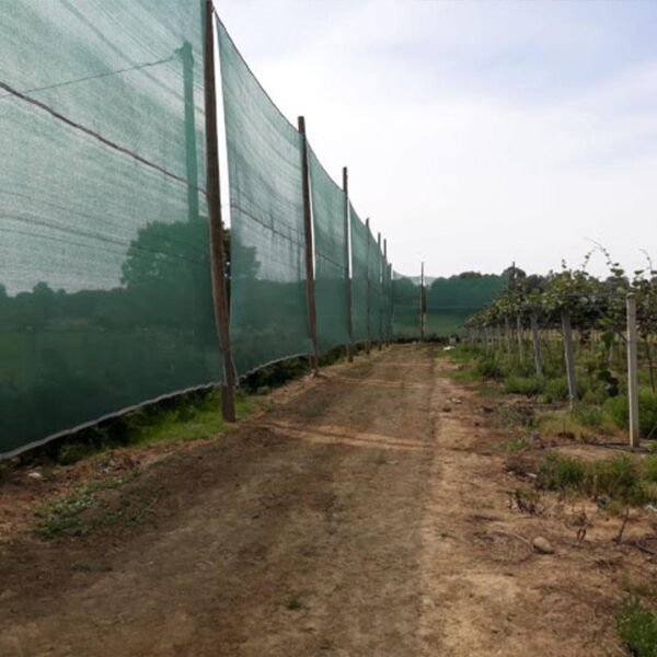 %55 SIKLIKTA METRE GÖLGELİK FİLE ARI TÜLÜ 55'LİK KORUMA TÜLÜ BAHÇE ÇİT FİLESİ ARI FİLESİ GÖLGELİK ÖRTÜSÜ