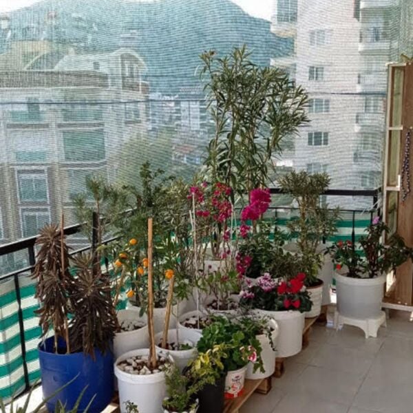 %55 SIKLIKTA METRE GÖLGELİK FİLE ARI TÜLÜ 55'LİK KORUMA TÜLÜ BAHÇE ÇİT FİLESİ ARI FİLESİ GÖLGELİK ÖRTÜSÜ