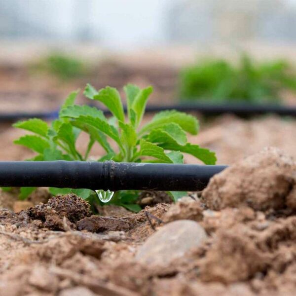 16mm DAMLAMA BORUSU DELİKLİ 400 m 2 LİTRE DAMLAMA BORUSU YUVARLAK DAMLAMA HORTUMU
