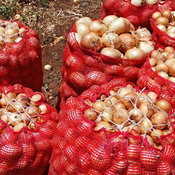 55X90 POLİMER ÇUVAL, PATATES SOĞAN ÇUVALI, KIRMIZI FİLE ÇUVAL (ADET SEÇİNİZ)