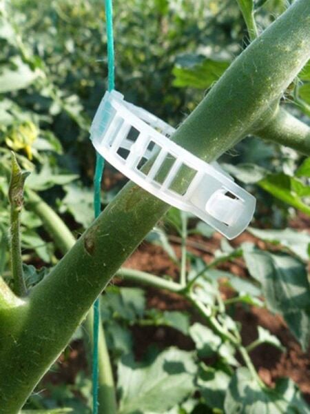 BİTKİ KLİPSİ, GRANÜL BİTKİ KLİPS, HER BİTKİYLE UYUMLU KLİPS (ADET SEÇİN)