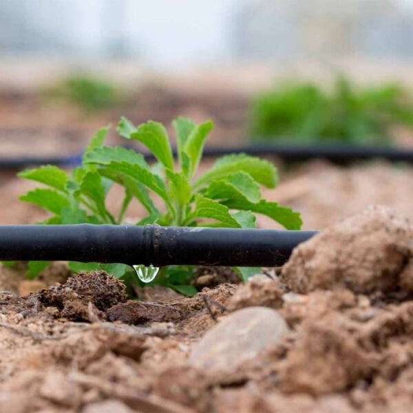 16 MM DAMLAMA BORUSU 100 METRE DELİKSİZ DAMLA SULAMA HORTUMU SULAMA SİSTEMİ