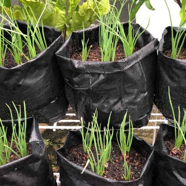 15x30 FİDAN TORBASI (ADET SEÇİNİZ) KÖRÜKLÜ FİDE PEYZAJ TORBA FİDAN ÜRETİM POŞETİ DELİKLİ