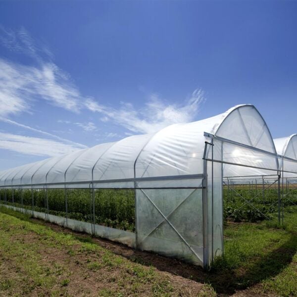 EFOR SERA GÖLGE TOZU DOĞAL GÖLGELEME TOZU 25 KG KİMYASAL VE BOYA YOKTUR