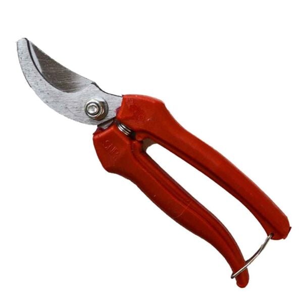 NARENCİYE HASAT MAKASI HOBİ PORTAKAL MANDALİNA NAR BUDAMA OVAL UÇLU KALİTELİ ÇELİK MAKAS