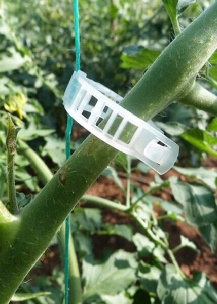 PİDOK SERA İPİ ORJİNAL BİTKİ KLİPSİ PAKETİ ŞEFFAF DOMATES KLİPSİ (TÜM BİTKİLER İLE UYUMLU KLİPS) 100 ADET