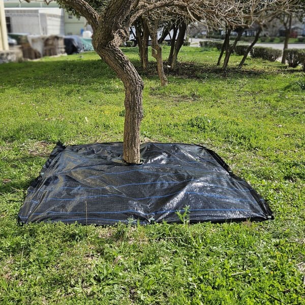 SİYAH AĞAÇ KORUMA ÖRTÜSÜ VE SABİTLEME ÇİVİSİ YER ÖRTÜSÜ YABANİ OT ENGELLEME PASPASI AĞAÇ DİBİ BEZİ SULZER KUMAŞ