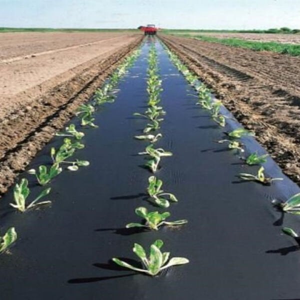 MULCH NAYLONU 30 MİCRON (EBAT SEÇİNİZ) SİYAH TABAN ÖRTÜSÜ PİDOK ÇİLEK MULCH UV Lİ SEBZE NAYLONU