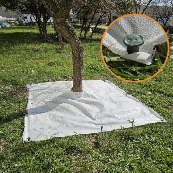 BEYAZ AĞAÇ KORUMA ÖRTÜSÜ VE SABİTLEME ÇİVİSİ YER ÖRTÜSÜ YABANİ OT ENGELLEME PASPASI AĞAÇ DİBİ BEZİ SULZER KUMAŞ
