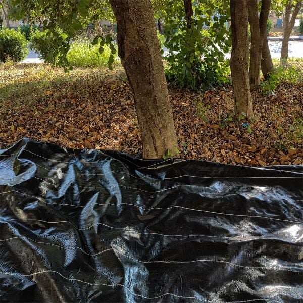 ZEYTİN TIRMIĞI + ZEYTİN DİLME APARATI + FIRÇA SAPI + 5x10 ZEYTİN SERGENİ JÜT ZEYTİN TOPLAMA TARAĞI TABAN ÖRTÜSÜ ZEYTİN ÇİZME ALETİ