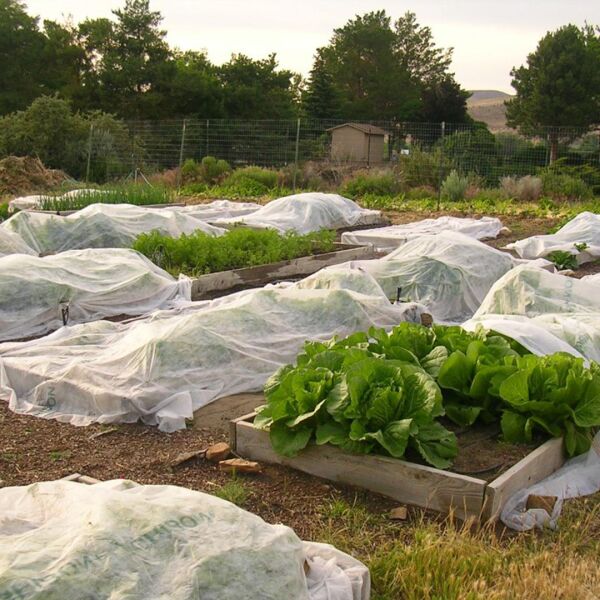 40 GR AGRİL ISI DON PERDESİ, ZİRAİ DON KIRAĞI ÖRTÜ