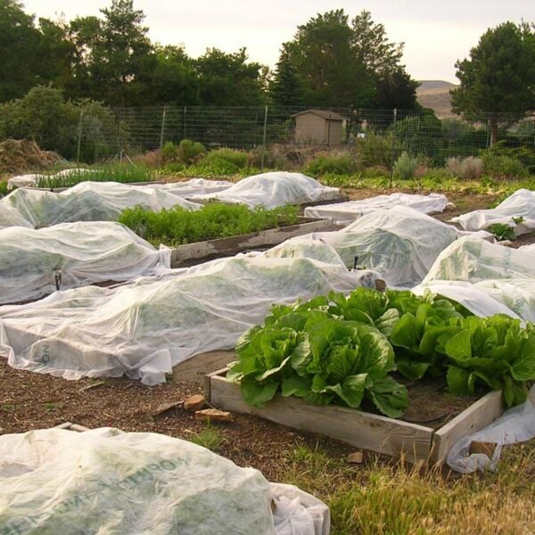 40 GR AGRİL ISI DON PERDESİ, ZİRAİ DON KIRAĞI ÖRTÜ