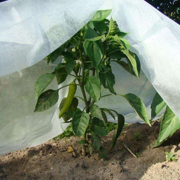 40 GR AGRİL ISI DON PERDESİ, ZİRAİ DON KIRAĞI ÖRTÜ