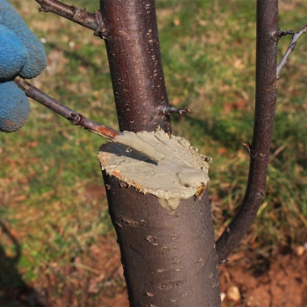 EFOR MAX AŞI MACUNU 250 GR AŞI VE BUDAMA İÇİN AŞI MACUNU TÜM AŞI TÜRLERİYLE UYUMLU