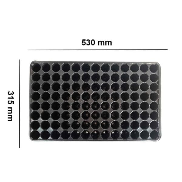 104 Göz Viyol FİDE YETİŞTİRME VİYOLÜ FİDAN YETİŞTİRME KABI ÇİLEK SEBZE MEYVE SÜS BİTKİSİ SKULENT FİDELİK