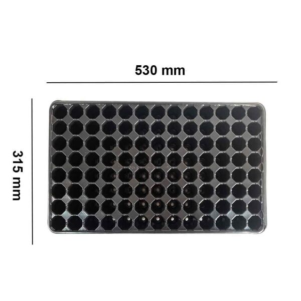 104 Göz Viyol FİDE YETİŞTİRME VİYOLÜ FİDAN YETİŞTİRME KABI ÇİLEK SEBZE MEYVE SÜS BİTKİSİ SKULENT FİDELİK