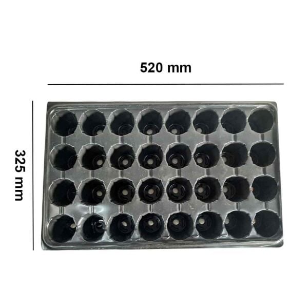 32 Göz Viyol FİDE YETİŞTİRME VİYOLÜ FİDAN YETİŞTİRME KABI ÇİLEK SEBZE MEYVE SÜS BİTKİSİ SKULENT FİDELİK