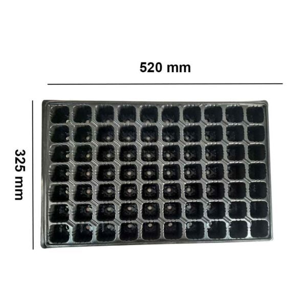 70 Göz Viyol FİDE YETİŞTİRME VİYOLÜ FİDAN YETİŞTİRME KABI ÇİLEK SEBZE MEYVE SÜS BİTKİSİ SKULENT FİDELİK