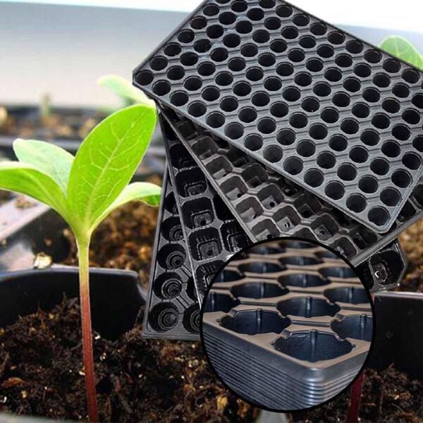 60 Göz Viyol FİDE YETİŞTİRME VİYOLÜ FİDAN YETİŞTİRME KABI ÇİLEK SEBZE MEYVE SÜS BİTKİSİ SKULENT FİDELİK