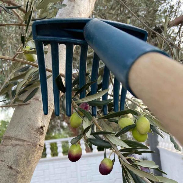 2'li ZEYTİN TIRMIĞI VE ZEYTİN SAPI PAKETİ 2 ADET 7 DİŞLİ ZEYTİN TOPLAMA APARATI 2 ADET TIRMIK SAPI