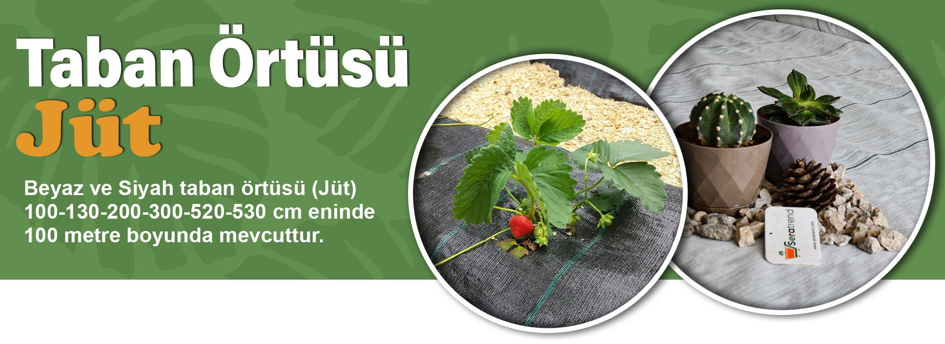JÜT