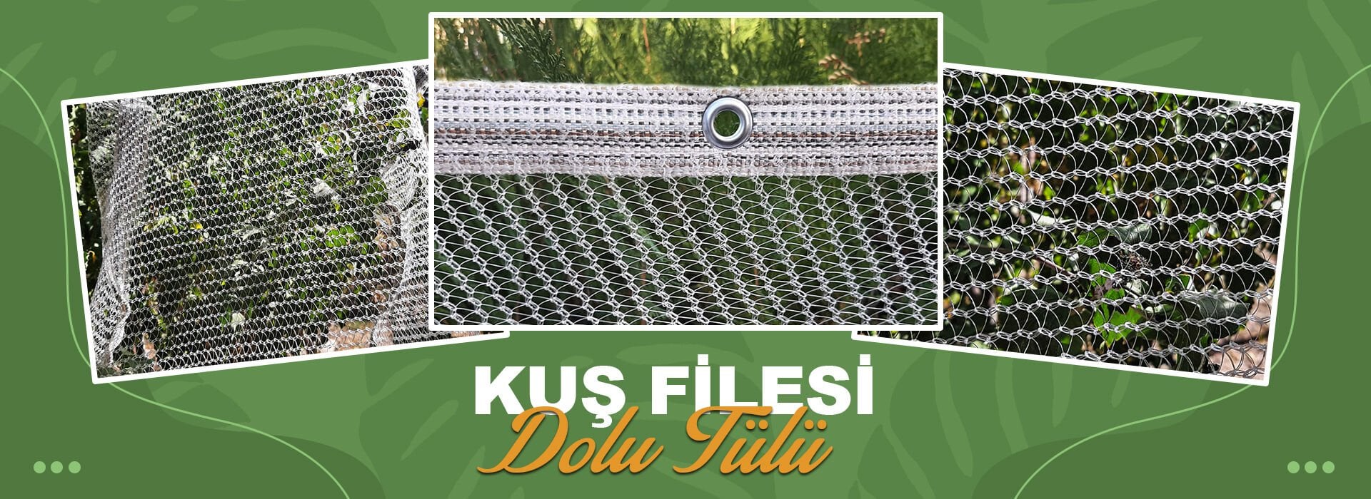 KUŞ